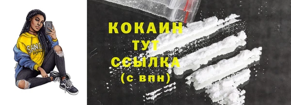тгк Михайлов